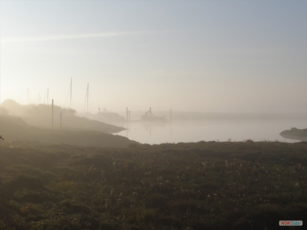 Foggy marsh 1