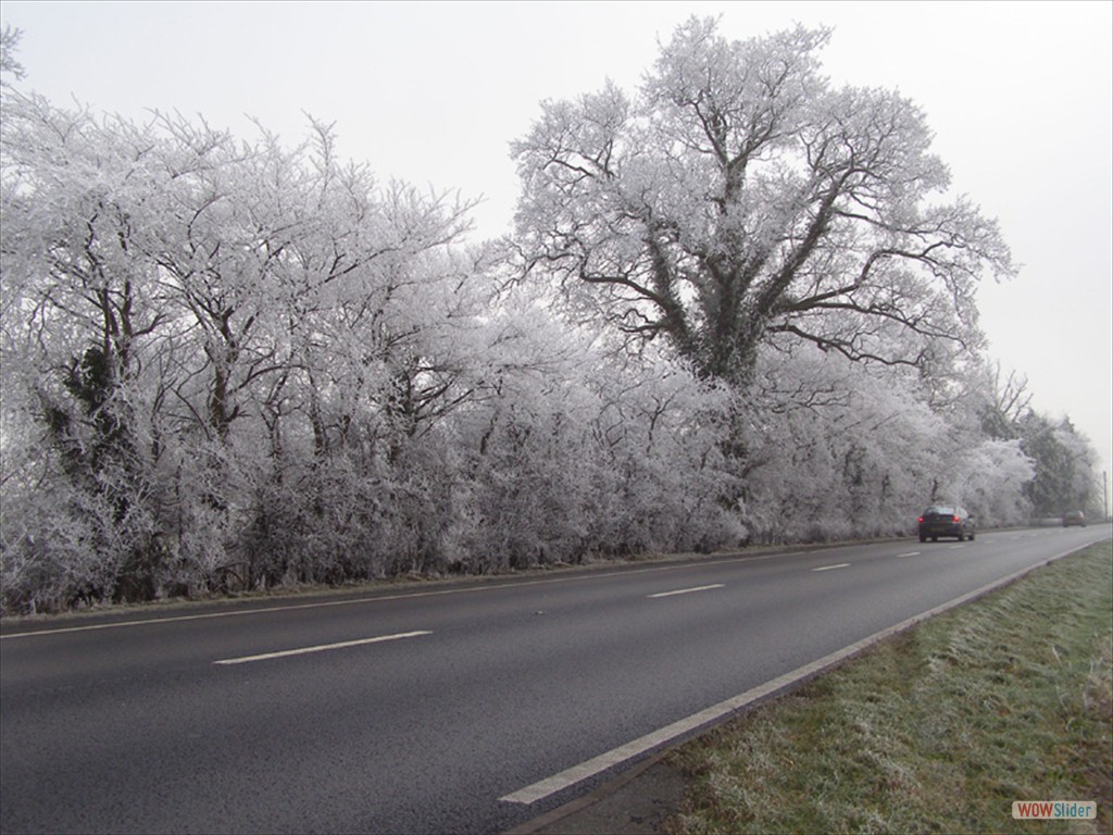 Frost 1