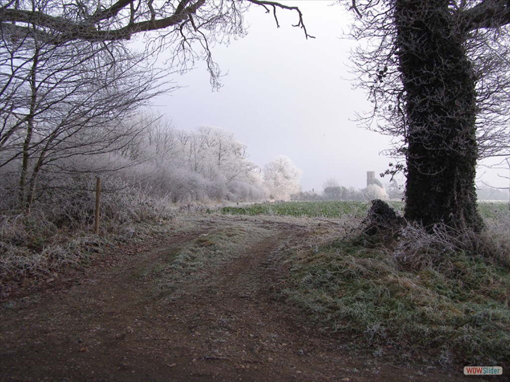 Frost  6