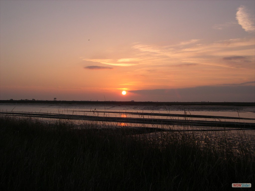 Sunrise 6