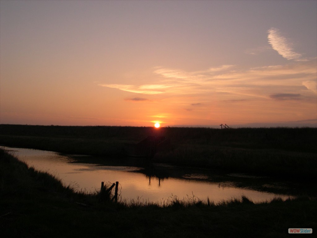 Sunrise 7