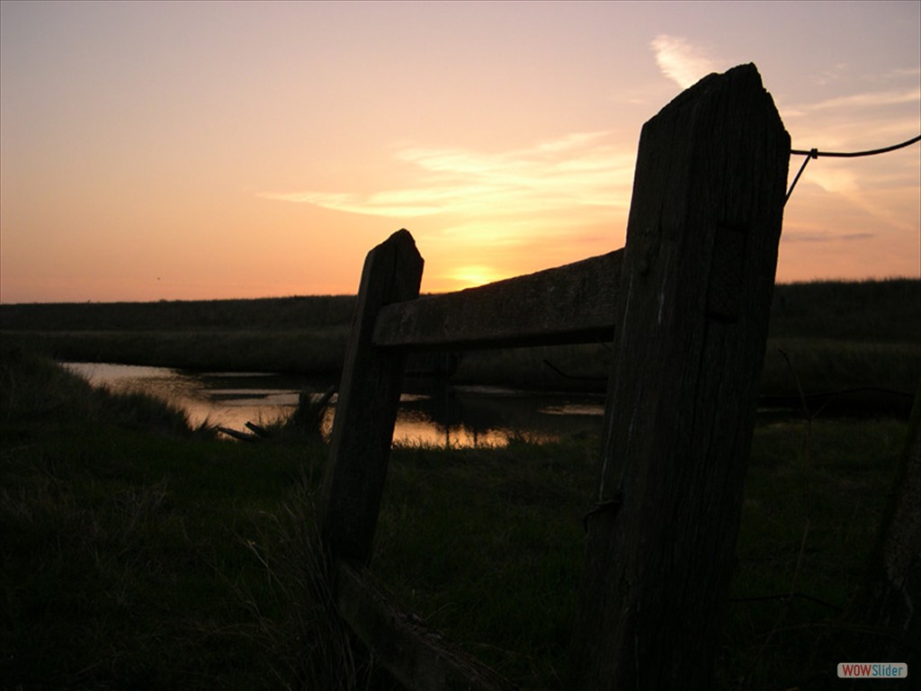 Sunrise 8