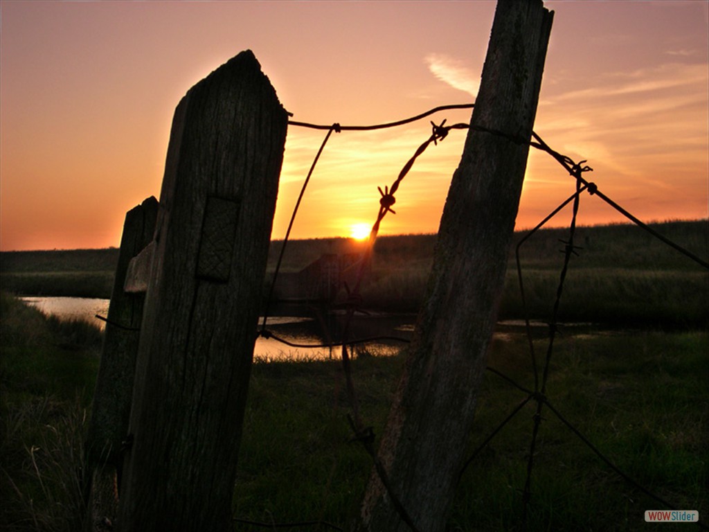 Sunrise  1