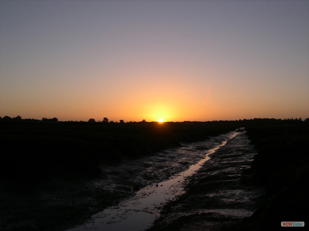 Sunrise  14