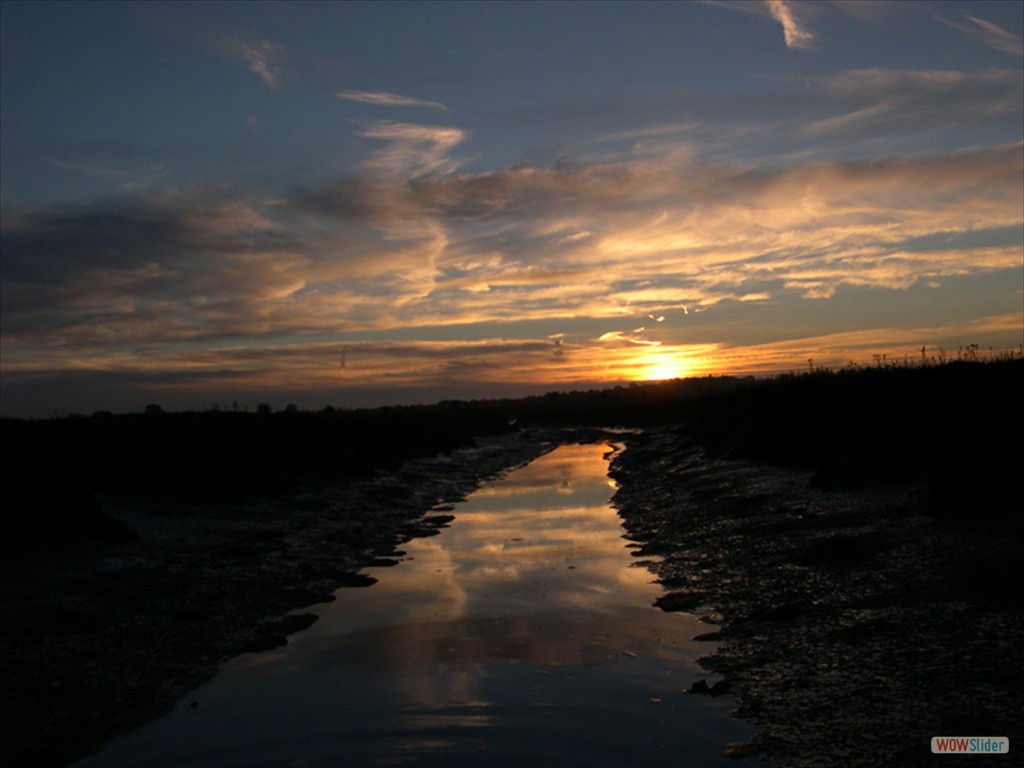 Sunrise  17
