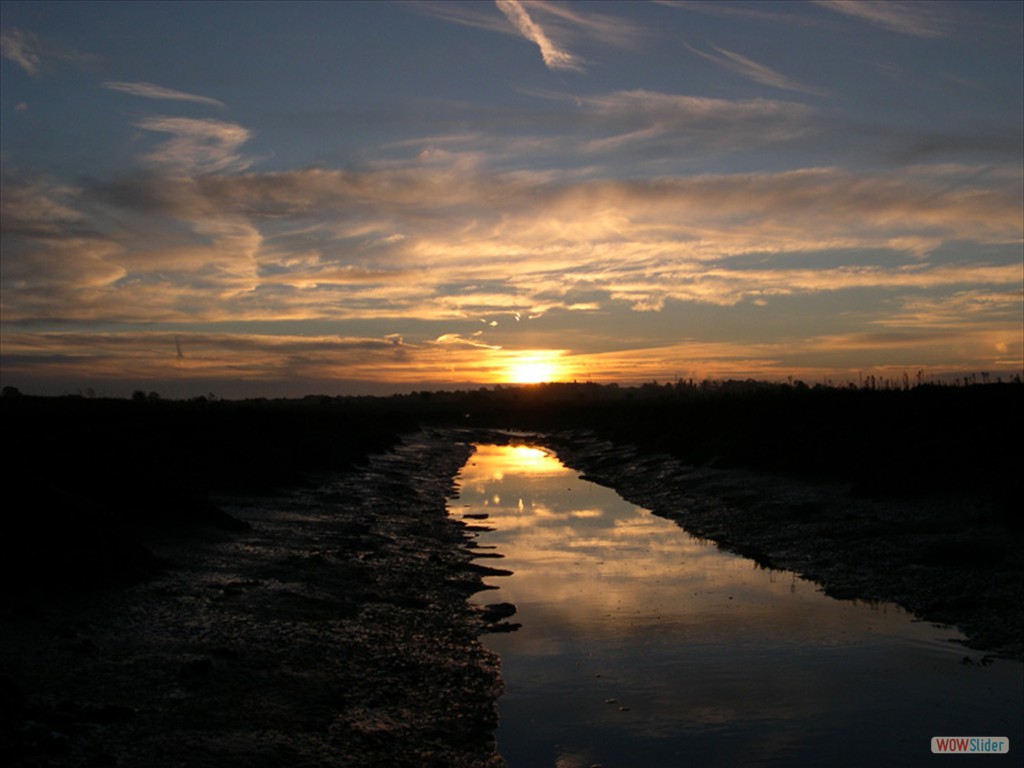 Sunrise  18