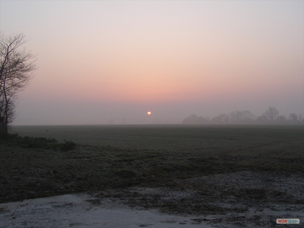 Sunrise  21