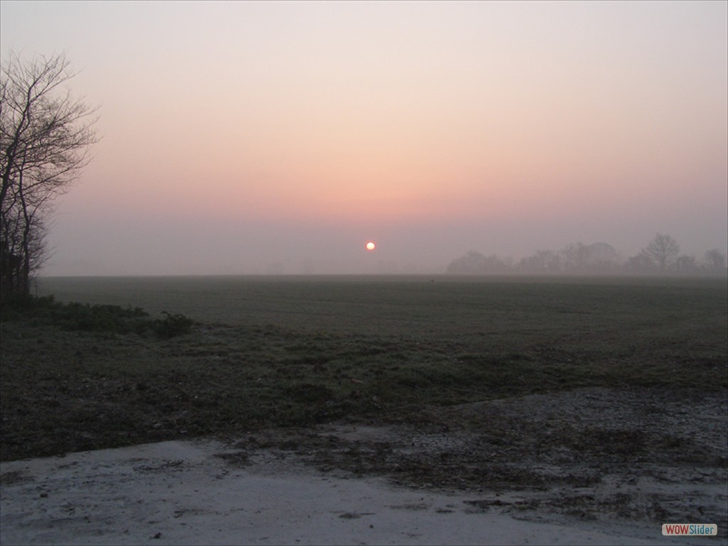 Sunrise  23