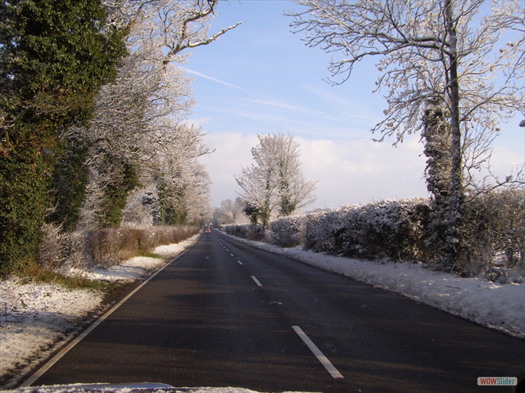 Winter 2